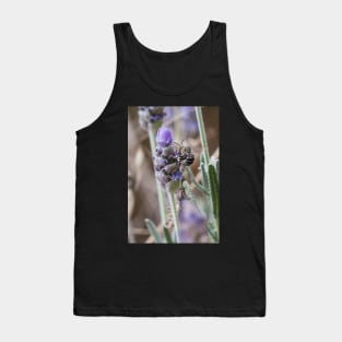 Blue Banded Bee Tank Top